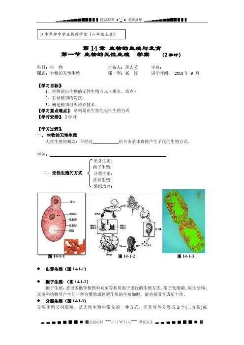 苏教版生物八上第一节《 生物的无性生殖》word学案一