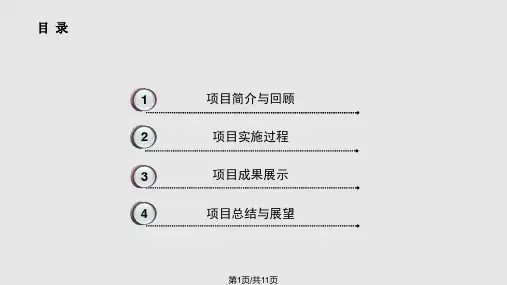 科技创新项目结题答辩PPT课件