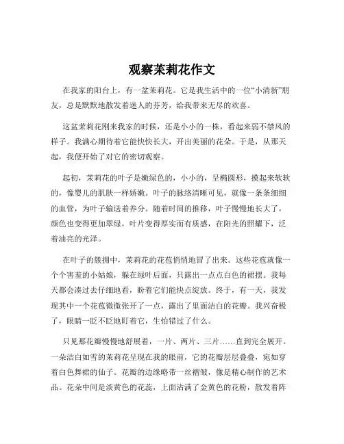 观察苿莉花作文