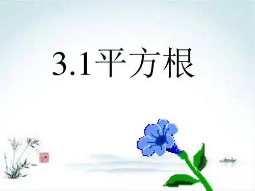 湘教版数学八上3.1《平方根》ppt课件2