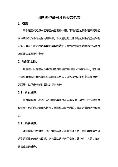 团队类型举例分析报告范文