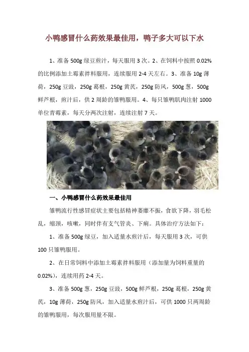 小鸭感冒什么药效果最佳用,鸭子多大可以下水