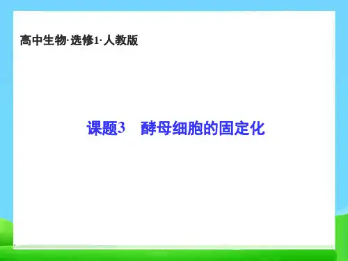 高中生物酵母细胞的固定化 (3)