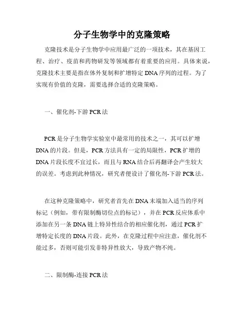 分子生物学中的克隆策略