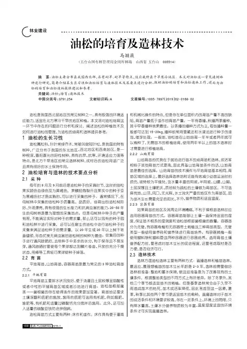 油松的培育及造林技术