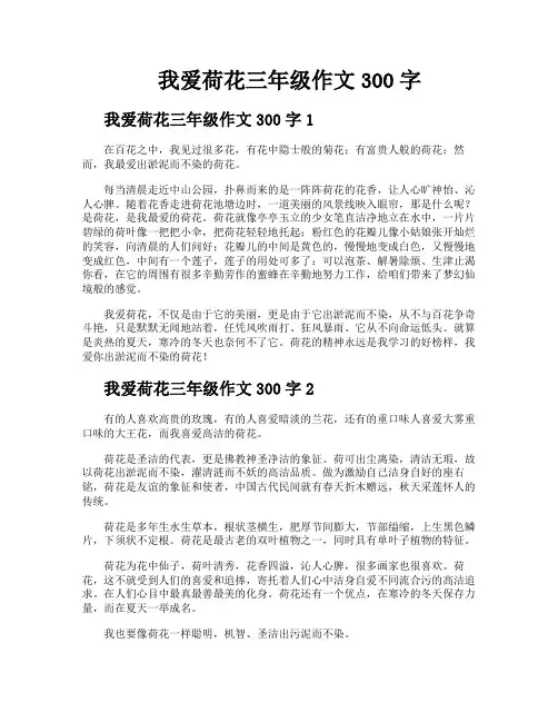 我爱荷花三年级作文300字