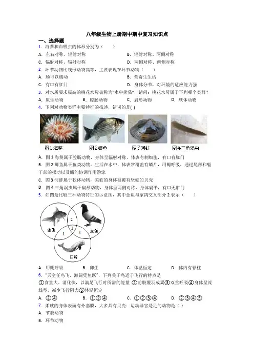 八年级生物上册期中期中复习知识点