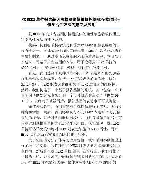 抗HER2单抗报告基因法检测抗体依赖性细胞吞噬作用生物学活性方法的建立及应用