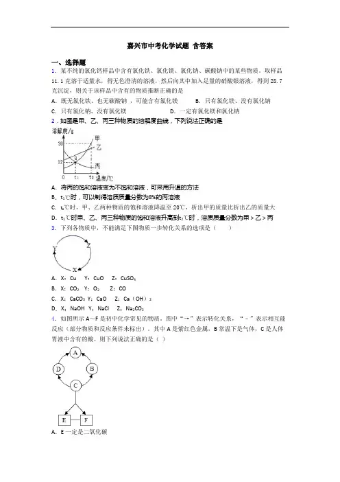嘉兴市中考化学试题 含答案