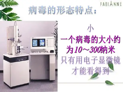 八年级生物上册  第五单元第五章病毒课件6-10