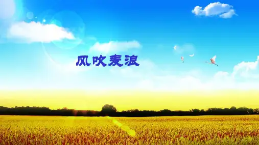 2019-2020年鲁教版高中地理必修一第二单元第2节《大气圈与天气,气候》优质课件(共30张PPT)