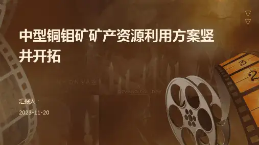 中型铜钼矿矿产资源利用方案竖井开拓