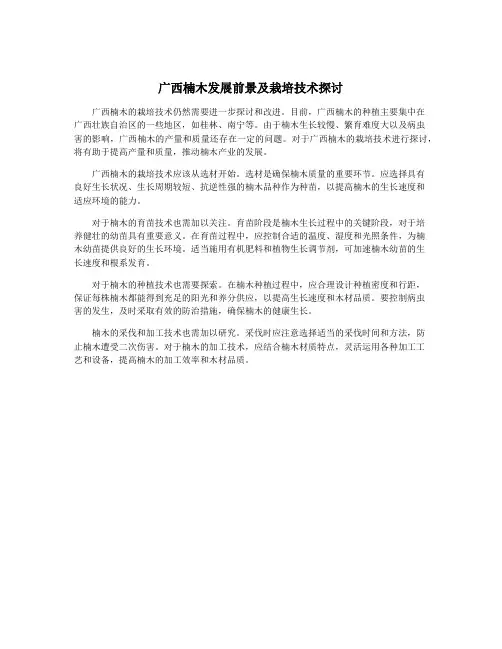 广西楠木发展前景及栽培技术探讨