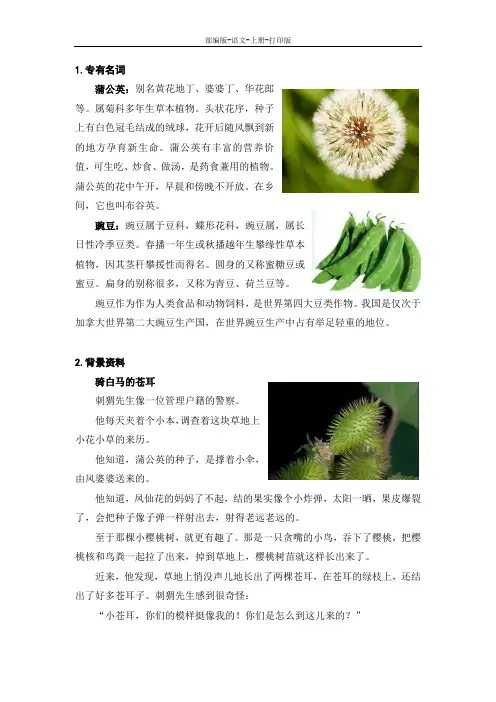 部编版-语文-二年级上册-《植物妈妈有办法》文字说明