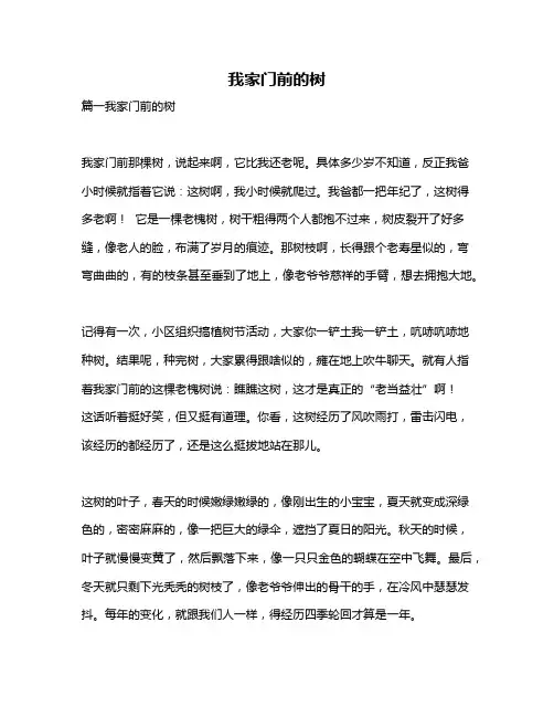 作文《我家门前的树》