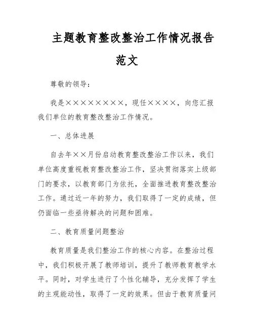 主题教育整改整治工作情况报告范文