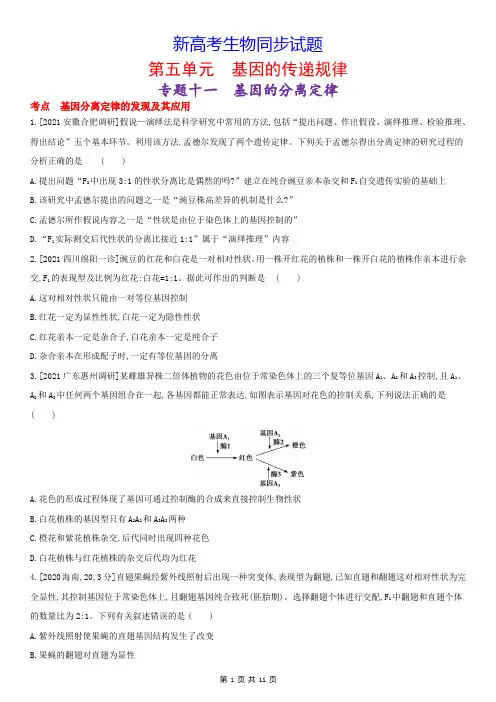 新高考生物同步试题：11  基因的分离定律