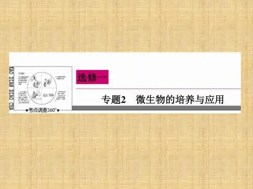 【状元之路】高考生物一轮复习 专题2 微生物的培养与应用名师优质课件 新人教版选修1