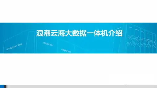 浪潮云海大数据一体机介绍