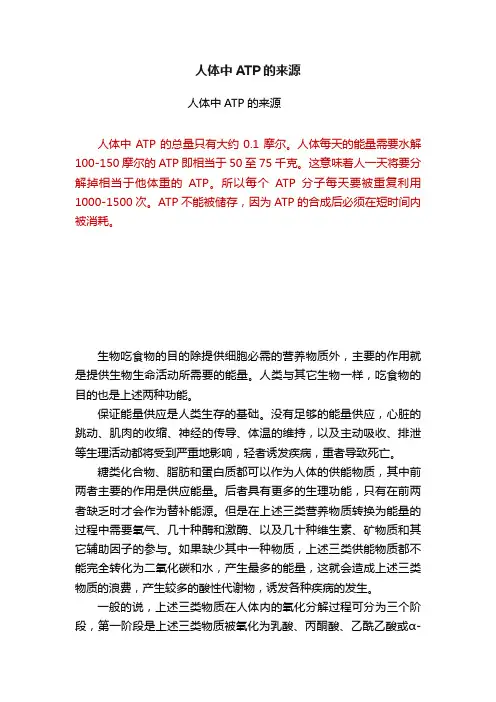 人体中ATP的来源
