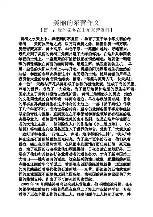 美丽作文之美丽的东营作文