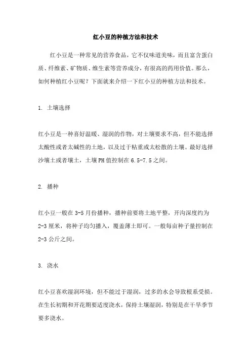 红小豆的种植方法和技术