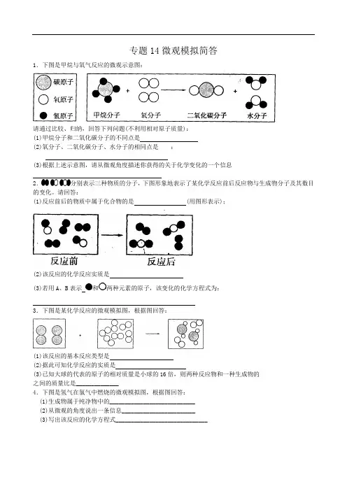 九年级化学专题训练--微观模拟简答 doc