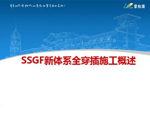 碧桂园SSGF新体系全穿插施工概述
