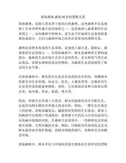 原始森林,森林,树木的逻辑关系