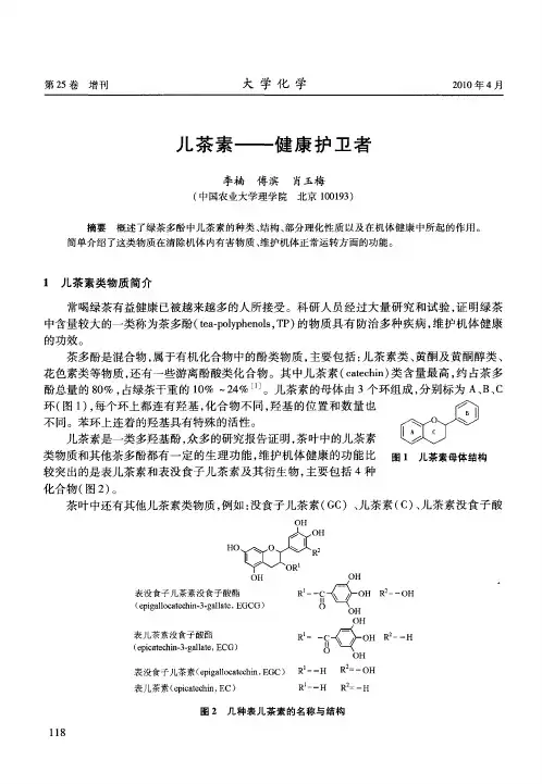 儿茶素——健康护卫者