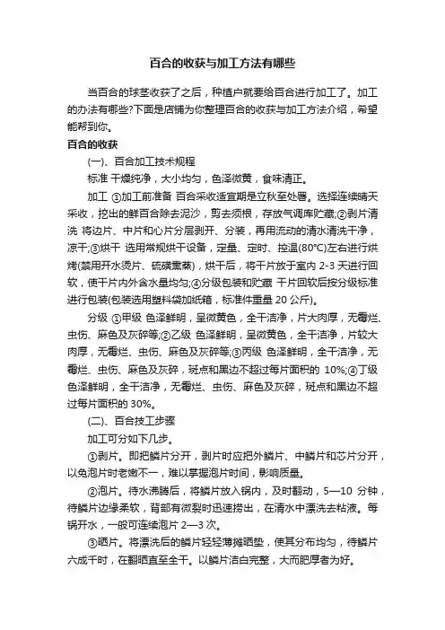 百合的收获与加工方法有哪些