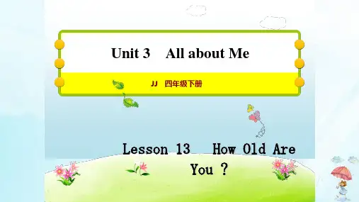 四年级下册英语习题 Lesson 13  How Old Are You 冀教版