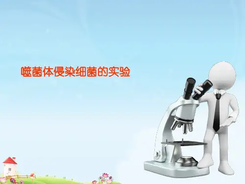 高中生物PPT课件噬菌体侵染细菌的实验