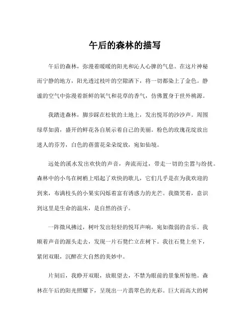 午后的森林的描写