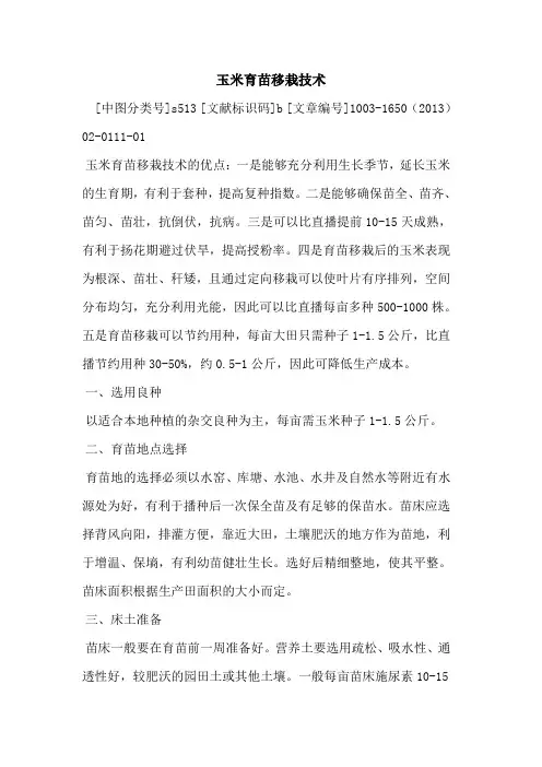 玉米育苗移栽技术