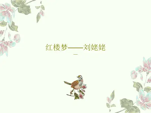 红楼梦——刘姥姥19页PPT