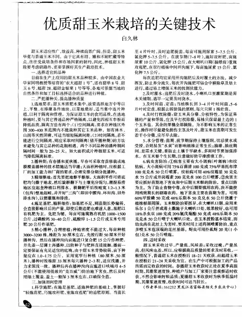 优质甜玉米栽培的关键技术
