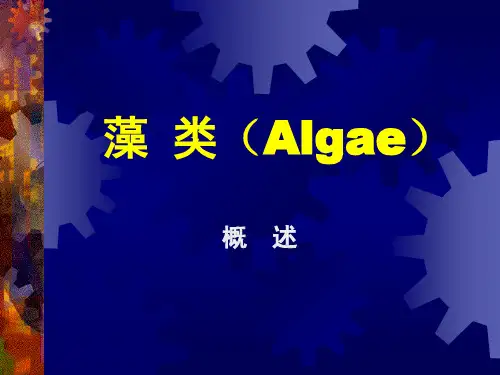 02藻类概述11