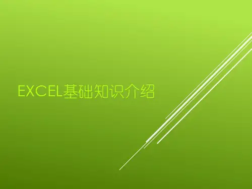 Excel基础介绍PPT课件