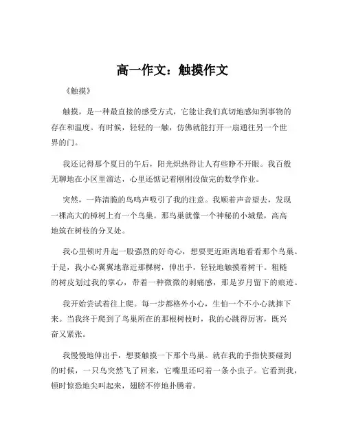 高一作文：触摸作文