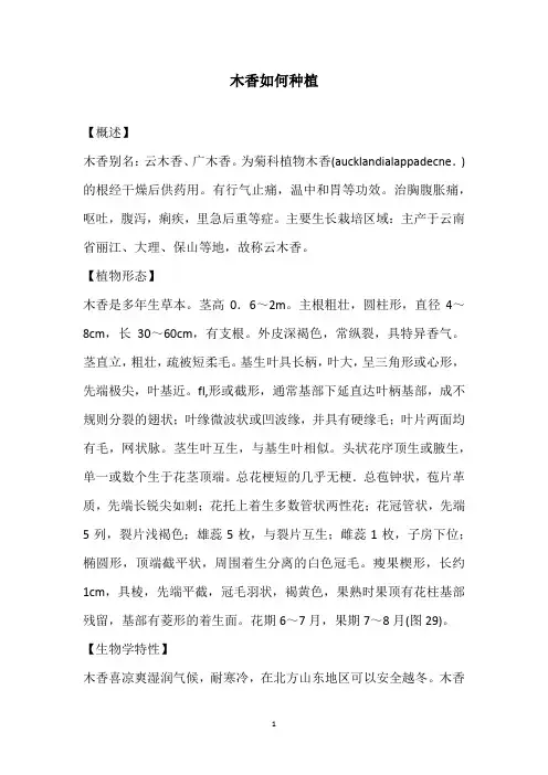 木香如何种植