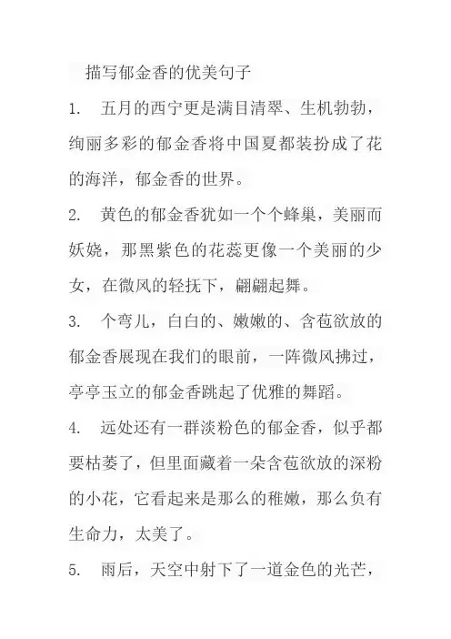 描写郁金香的优美句子