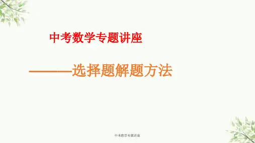 中考数学专题讲座课件