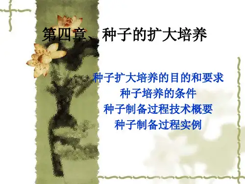 种子的扩大培养