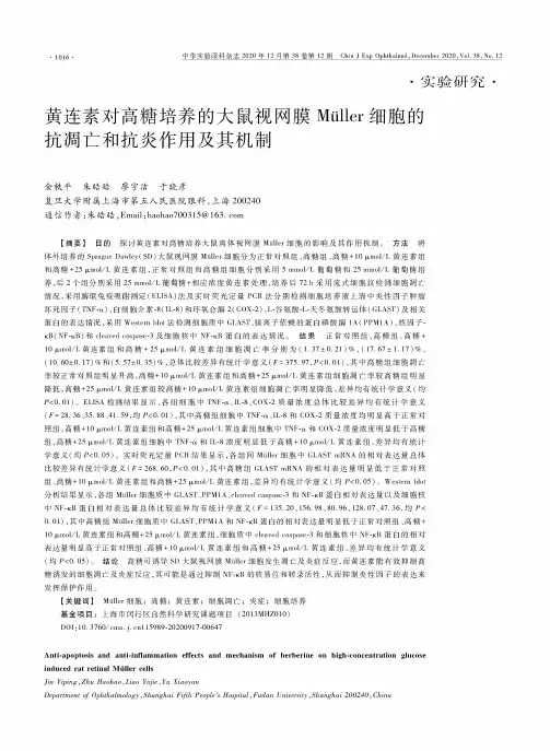 黄连素对高糖培养的大鼠视网膜Müller细胞的抗凋亡和抗炎作用及其机制