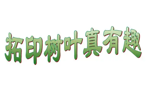 三年级上册美术课件《拓印树叶真有趣》人美版 PPT名师课件