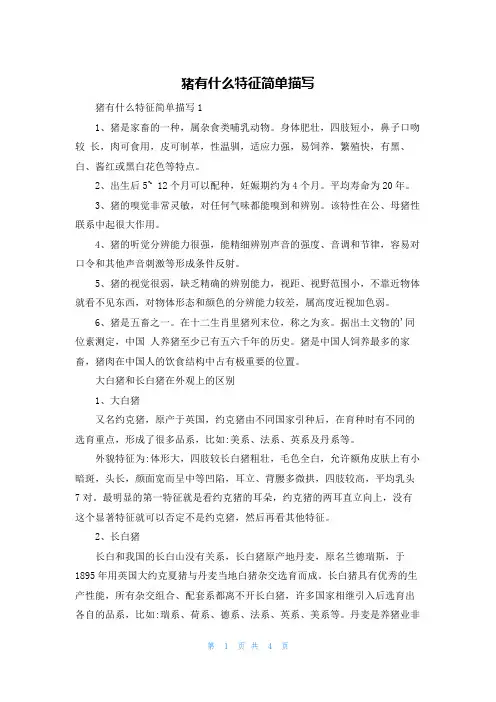 猪有什么特征简单描写