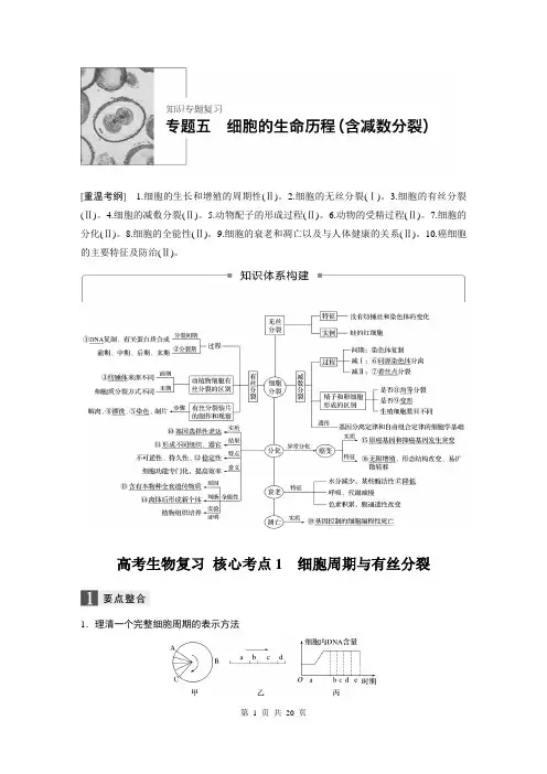高考生物复习 专题五：细胞的生命历程(含减数分裂)