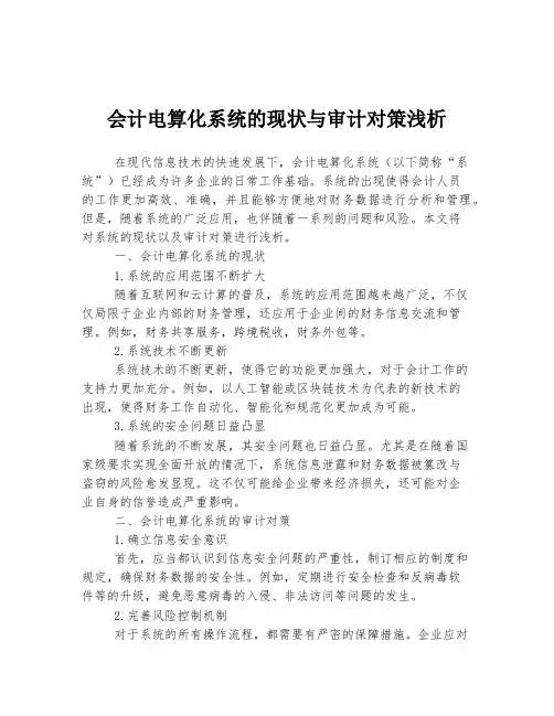 会计电算化系统的现状与审计对策浅析