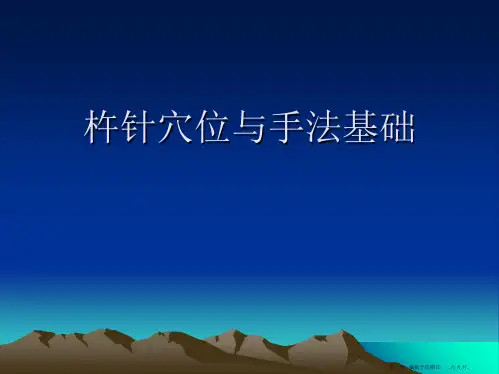杵针穴位与手法基础